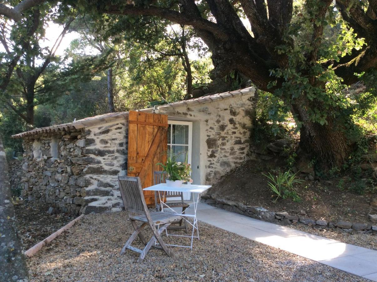 La Petite Bergerie, Les Hautes Roches Collobrières Esterno foto