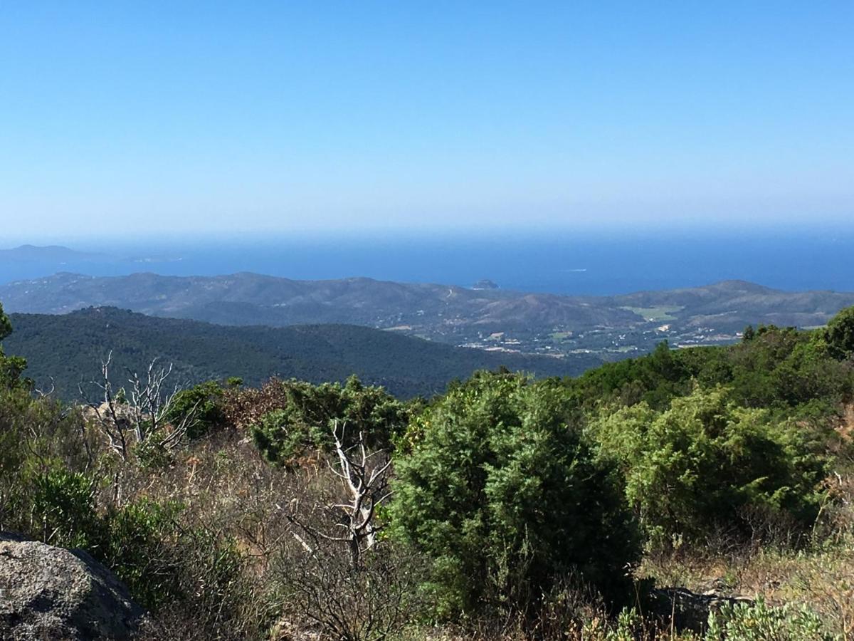 La Petite Bergerie, Les Hautes Roches Collobrières Esterno foto