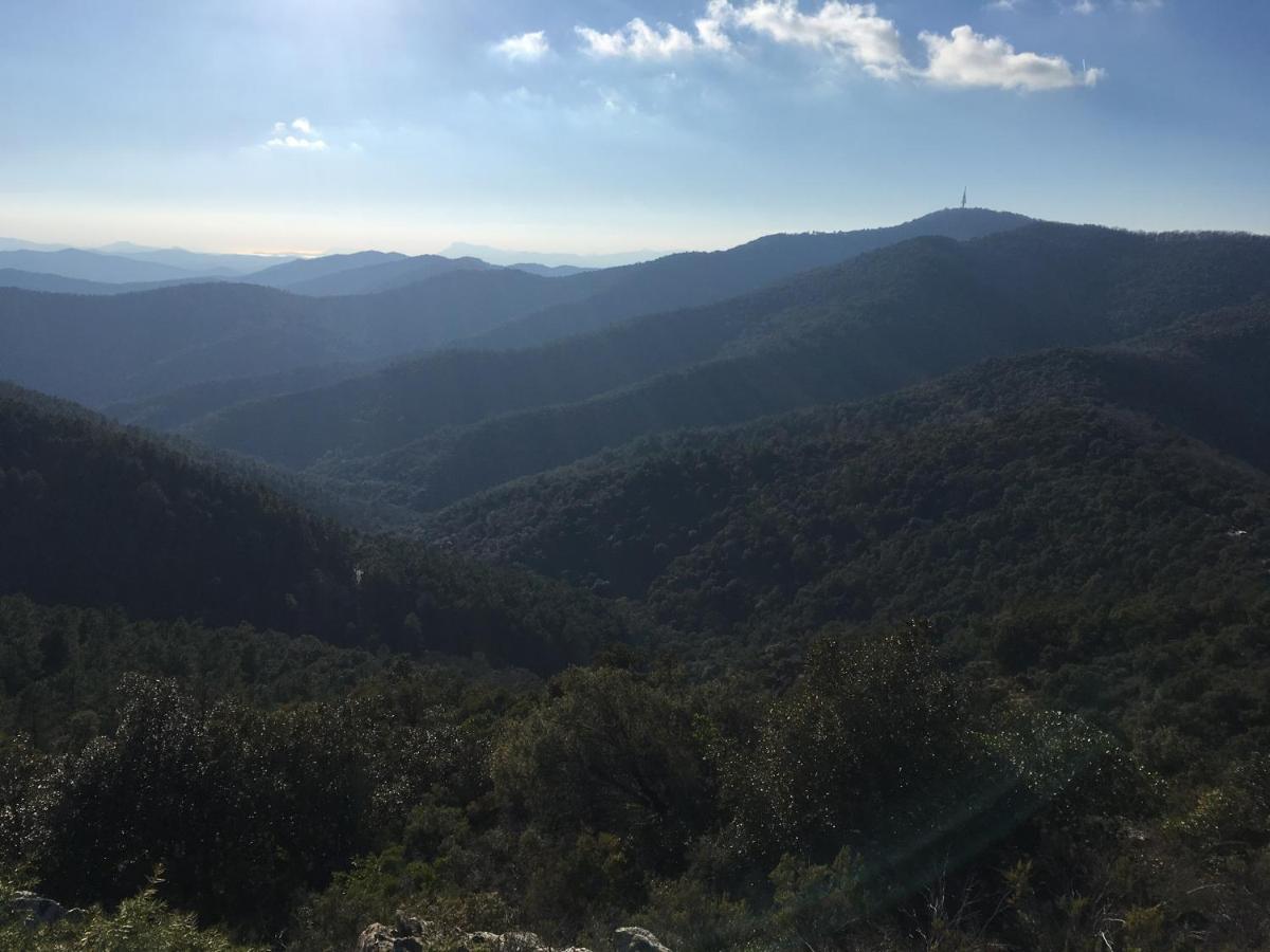 La Petite Bergerie, Les Hautes Roches Collobrières Esterno foto